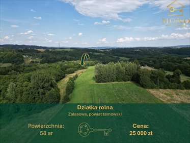 działka na sprzedaż 5800m2 działka Zalasowa