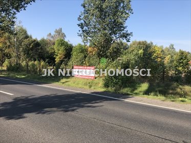 Działka inwestycyjna na sprzedaż Niechcice 3 500m2 Foto 1