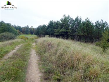Działka rolna na sprzedaż Królowa Wola 28 400m2 Foto 6