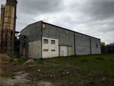 magazyn na sprzedaż 1109m2 magazyn Tomaszów Mazowiecki