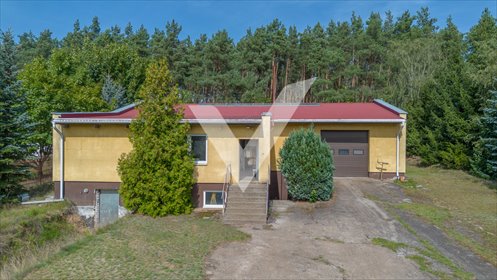 Sprzedam magazyn 547 m² z biurem i lasem w Pawłówku magazyn Pawłówek