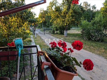 Dom na sprzedaż Dragacz, Stare Marzy 300m2 Foto 7