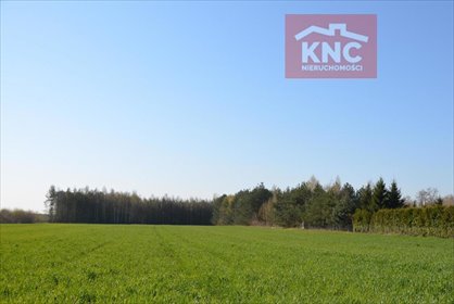 Działka pod domy jednorodzinne w Głusku, 5730 m² działka Lublin, Głusk, Wygodna