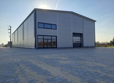 lokal użytkowy na wynajem 980m2 lokal użytkowy Dębe Wielkie, Dębe Wielkie