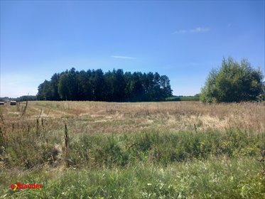 Działka 1,02 ha w Likiecu z dostępem do jeziora i lasu działka Likiec