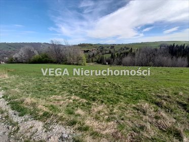 Działki rolne pod usługi narciarskie - Zakopane 8 785 m² działka Zakopane