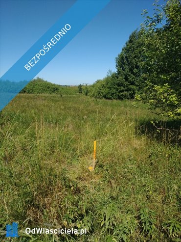 działka na sprzedaż 1355m2 działka Jesionowo, Kołobrzeska