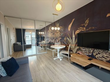 mieszkanie na wynajem 50m2 mieszkanie Wrocław, Muchobór Wielki