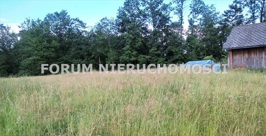 Działka budowlana na sprzedaż Twardorzeczka 8 189m2 Foto 5