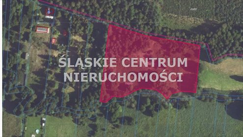 działka na sprzedaż 72500m2 działka Sieraków, Sieraków