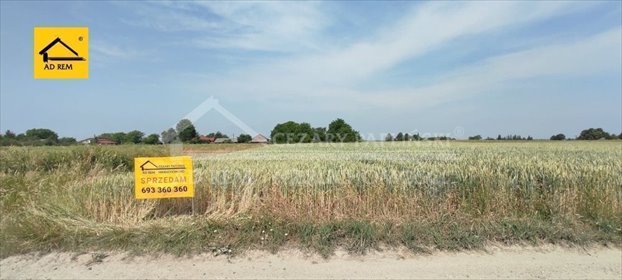 Działka 0,7ha z domem i budynkami - możliwość rozbudowy działka Kiełczewice Górne, Kiełczewice