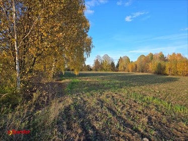 Sprzedam działkę 1577 m² w Wierzchowisku z projektem domu działka Wierzchowisko, Północ, Brata Alberta