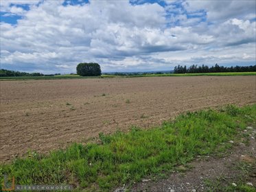 działka na sprzedaż 2999m2 działka Widoma