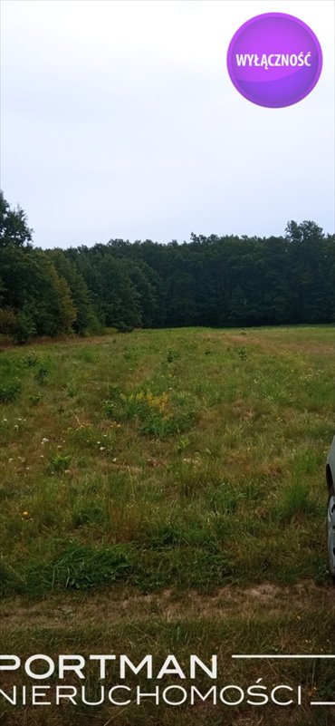 działka na sprzedaż 2770m2 działka Sobienie Kiełczewskie Drugie