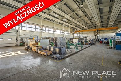 lokal użytkowy na wynajem 1947m2 lokal użytkowy Błonie, Maszynowa