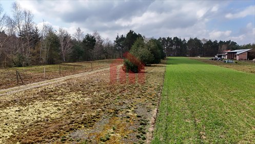 Działka 443 m2 z potencjałem rekreacyjnym w Czarna Sędziszowska działka Czarna Sędziszowska