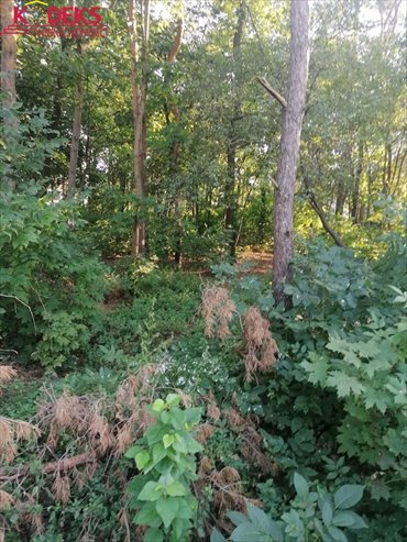 Działka budowlana na sprzedaż Legionowo 2 250m2 Foto 2