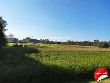 Działka budowlana na sprzedaż Ściejowice 6 000m2 Foto 1