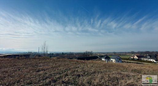 Działka budowlana na sprzedaż Wilków 1 128m2 Foto 6