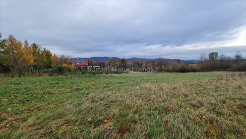 Działka budowlana na sprzedaż Dębowina 3 280m2 Foto 2
