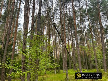 działka na sprzedaż 14700m2 działka Radunin