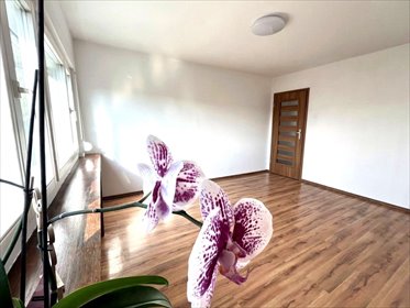 mieszkanie na sprzedaż 54m2 mieszkanie Poznań, Grunwald
