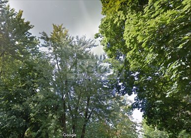 działka na sprzedaż 4293m2 działka Ząbki