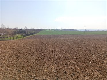 Działka budowlana na sprzedaż Nowa Wieś 1 000m2 Foto 3