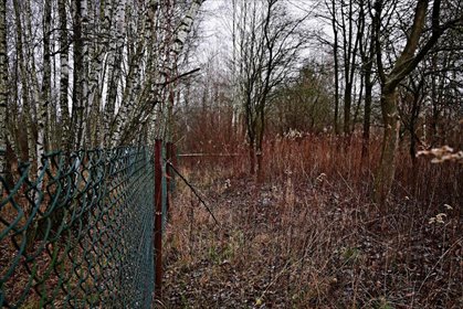 działka na sprzedaż 6533m2 działka Kazimierz Dolny