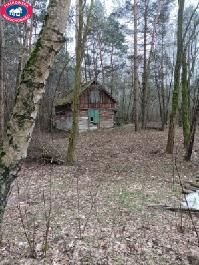 działka na sprzedaż 2900m2 działka Grabce Józefpolskie