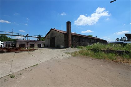 Lokal użytkowy na sprzedaż Radymno, Złota Góra 4 849m2 Foto 7