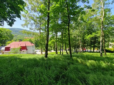 Działka inwestycyjna 2157 m² w Świeradowie-Zdroju działka Świeradów-Zdrój, Lipowa