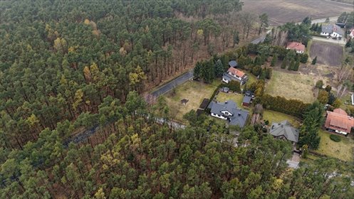 1233 m² spokoju. Las za płotem w Puszczykowie działka Puszczykowo, Jeździecka