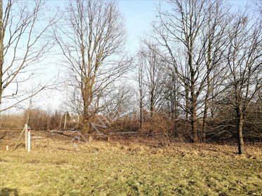 działka na sprzedaż 900m2 działka Arynów