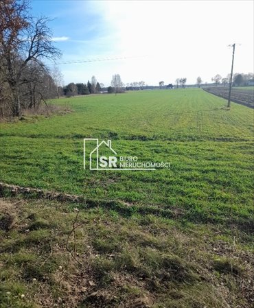 działka na sprzedaż 24218m2 działka Patoki