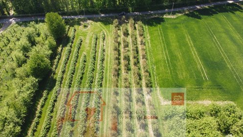 działka na sprzedaż 8700m2 działka Kamień-Kolonia