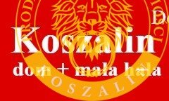 dom na sprzedaż 386m2 dom Koszalin, Wąwozowa