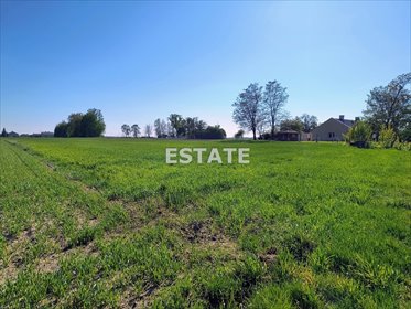 Polecam działkę 1168 m² z MPZP, media, blisko Ozorkowa działka Ozorków, Małachowice Kolonia
