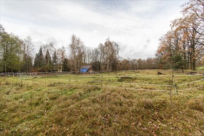 Płaska działka 1,34 ha, idealna pod inwestycję działka Drzeniów