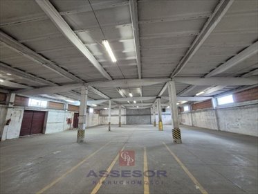 lokal użytkowy na wynajem 540m2 lokal użytkowy Kalisz