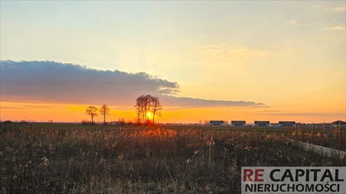 działka na sprzedaż 1025m2 działka Zaborówek