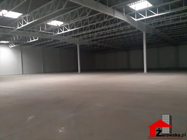 magazyn na wynajem 5000m2 magazyn Wodzisław Śląski