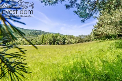 działka na sprzedaż 3165m2 działka Stawisza