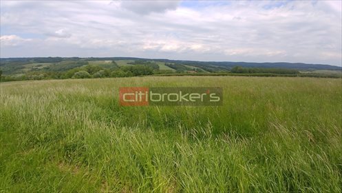 działka na sprzedaż 1200m2 działka Straszydle