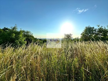 działka na sprzedaż 1262m2 działka Czepino