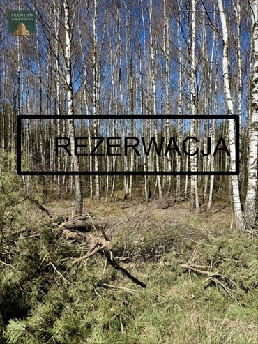 Duża działka rolna 1,57 ha z dojazdem asfaltowym (Anusin) działka Anusin