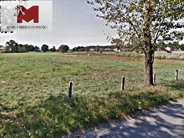 Działka budowlana na sprzedaż Pociękarb, Główna 10 310m2 Foto 2