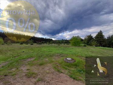 Działka budowlana na sprzedaż Tomisław 5 582m2 Foto 2