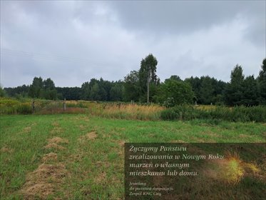 działka na sprzedaż 12400m2 działka Opole Lubelskie, Zagrody