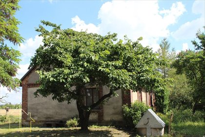 Urokliwy dom z cegły, duża działka i zagajnik dom Gąbin, Dobrzykowska